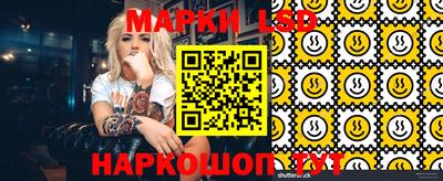 mdpv Новодвинск