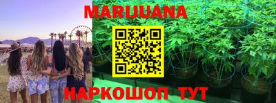 mdpv Новодвинск