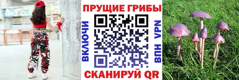 Галлюциногенные грибы мухоморы Семилуки