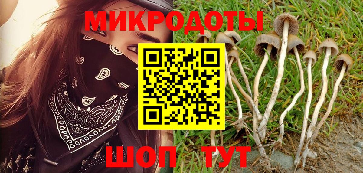 Галлюциногенные грибы MAGIC MUSHROOMS Семилуки