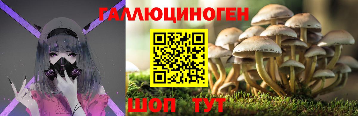Псилоцибиновые грибы Cubensis  Вход с VPN  Семилуки 